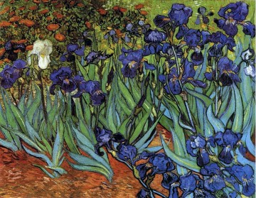  flores - Iris Vincent van Gogh Impresionismo Flores